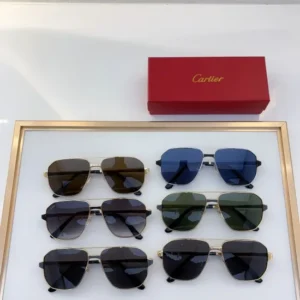 Cartier (CT0424S) - Image 4