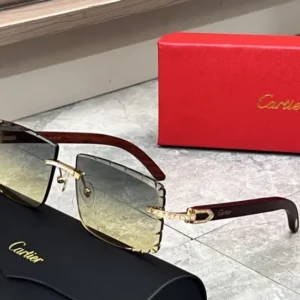 Cartier (CA0476S) - Image 2