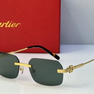 Cartier ( CT0271S) - Image 2