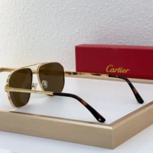 Cartier (CT0424S) - Image 2