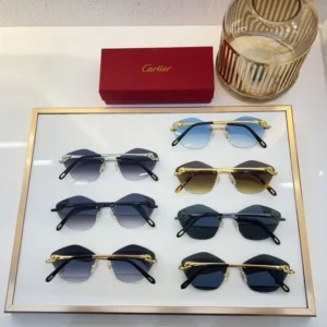 Cartier (CT0429S) - Image 2