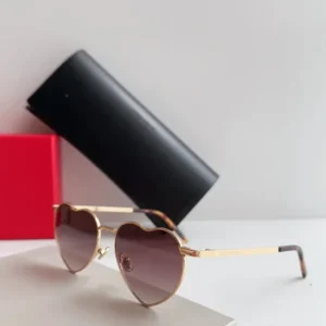 SAINT LAURENT (SL301) - Image 6