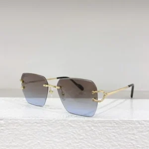 Cartier (CT0466S) - Image 4