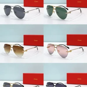 Cartier (CT0427S) - Image 2