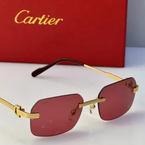 Cartier ( CT0271S) - Image 3