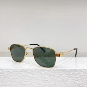 SAINT LAURENT (SL 741)