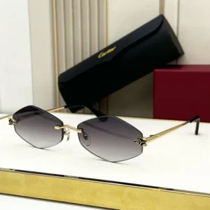 Cartier (CT0433S) - Image 2