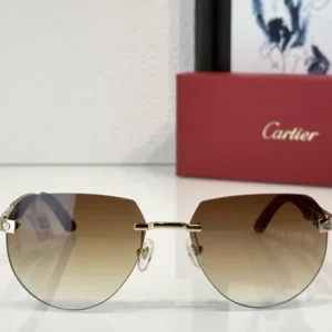 Cartier (CT0288S) - Image 2