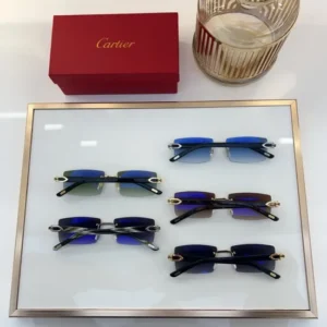 Cartier (CT0272) - Image 2