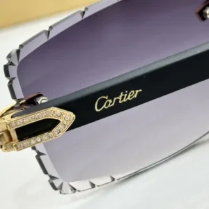 Cartier (CA0476S) - Image 2