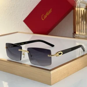 Cartier (CT0272) - Image 3