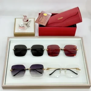 Cartier (CT0359) - Image 3